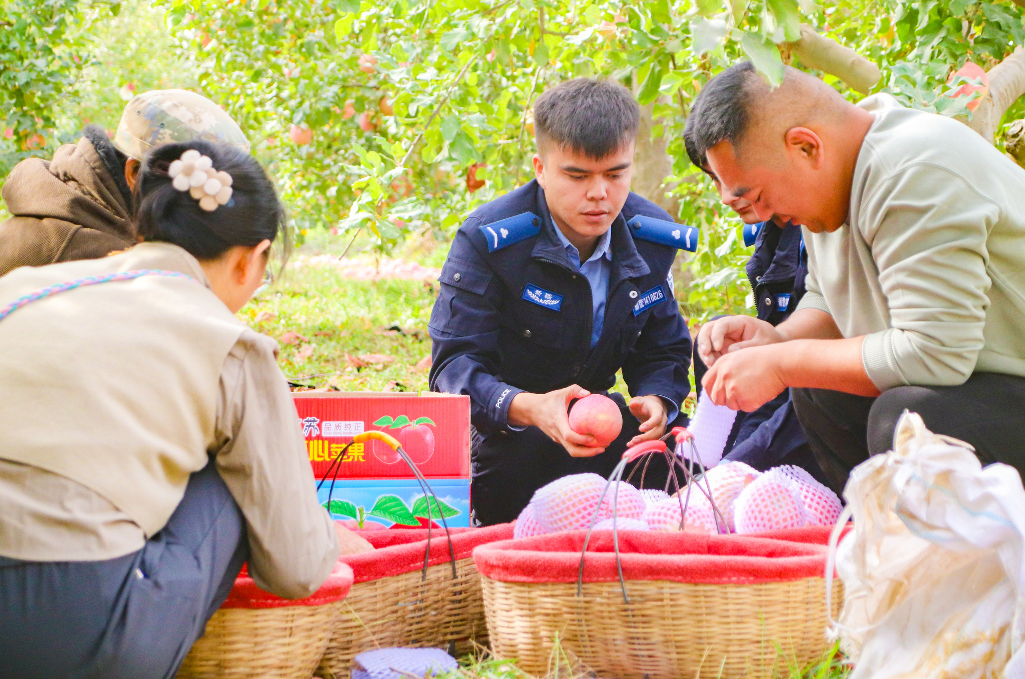 新疆新和：“果園警務(wù)”助農(nóng)保平安
